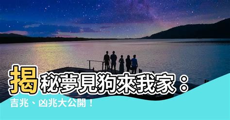 夢見狗來我家|【夢見狗來我家】夢見狗來我家 預示著什麼吉凶禍福？ – 葛鶴鈞師傅